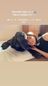 yoshimura_eriko 2025-06-23 01:39:51igpostzyweIBphoto1