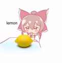 lemon_thumb.jpg