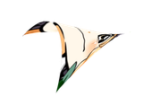marisad (glider)