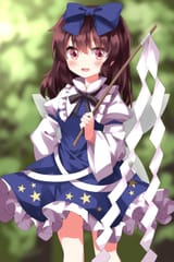 __hakurei_reimu_and_star_sapphire_touhou_drawn_by_ruu_tksymkw__sample-5c3dd39d0e42b9875677b723935c691d