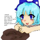 Cirno gummibear cultivation