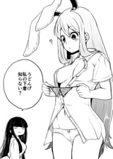 __reisen_udongein_inaba_and_houraisan_kaguya_touhou_drawn_by_himajin_noizu__6b2a8f9635811d8256a9a672bab00d2b