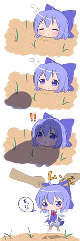 Homegrown_Cirnoes
