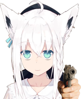 1699580918051891
