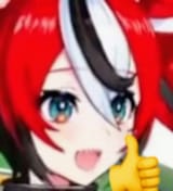 1729136261006997