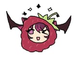 rasp irys