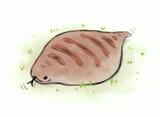 __original_drawn_by_krocodilian__4fa8c7f2916f34202b14391ac9deab0c