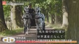 世界遺産【すべて見せます！ベストショット２０２４】_20241222-181508