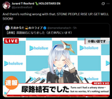 1736250462494040
