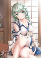 sanaecats