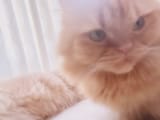 GRrr2xNbMAMZ7dZ