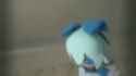 image_thumb.jpg