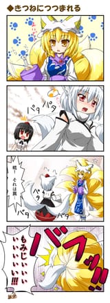 wan mind wan tail