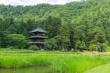 20230720_0801_chari020_minami_touhoku_1269