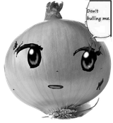 original kanmari onion
