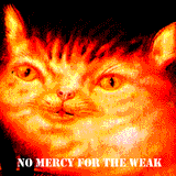 1459312094023