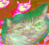1389643005881