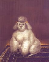 poodle.jpg!Large[1]