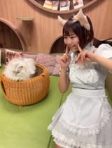 GvJIu2iXAAA3ina