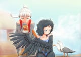 Harpy - Seagull Harpy