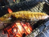 炭火とろさばs