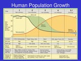 Human Population Growth Graph DTM