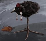 XcXsdBGiPTc
