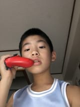 54644332