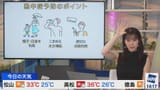 watch?v=jCUVXwfqQ-E.00:35:05.700