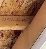 242 DICKS