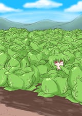 yuucabbage