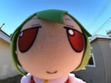 Thread 49714028 OP Image