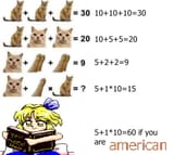 alice cat solution