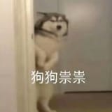 1738278542359719