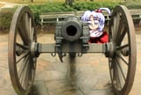 cannon shinki