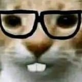 1727666516854813
