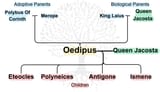 Oedipus-family-tree-900x515-1434880567
