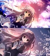 sakuuta (2)