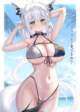 132807251_p4