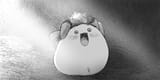 cc1bb891d1f5d2826f38dedc65b192d8