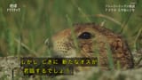 地球ドラマチック　選　プレーリードッグの物語　〜アメリカ　大平原の１年〜_20250705-194330
