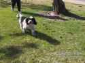 250722 suzy_aussie2025 1947552193378468039_thumb.jpg