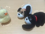 IMG_20250723_070551_969