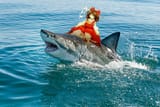 shark week reimu