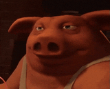 pig