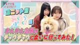 hasunosora_SIC-1951237221727740020-01
