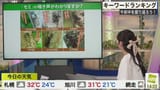 Screenshot_20250802_072715