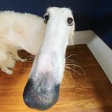 1736082361913176