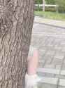 1754235809749_thumb.jpg