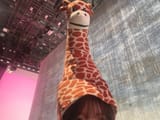 IMG_20250804_060727_465